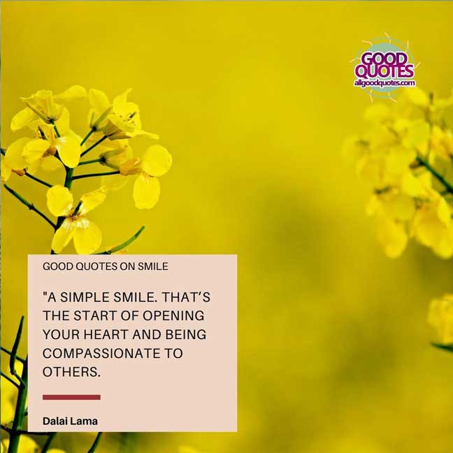 60 Good Quotes on Smiles 53 "A simple smile. That’s the start of opening your heart and being compassionate to others." -Dalai Lama