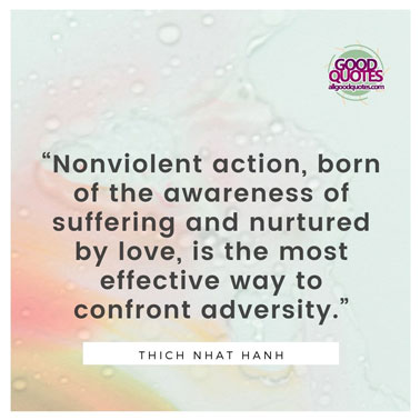 51 Great Thich Nhat Hanh Quotes on Life 14 “Nonviolent action, born of the awareness of suffering and nurtured by love, is the most effective way to confront adversity.”