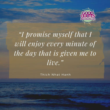 51 Great Thich Nhat Hanh Quotes on Life 3 Thich Nhat Hanh Quotes on Life Good Quotes 3